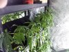 20121027_202905.jpg