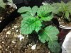 20121031_000429.jpg