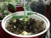 20121031_000406.jpg