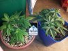 20121028_161735.jpg