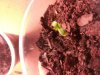 20121031_201035.jpg