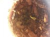 20121031_201003.jpg