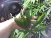 20121101_031450.jpg