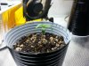 20121104_095957.jpg