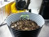 20121104_100305.jpg