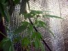 100_3819.jpg 100_3819.jpg