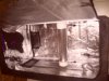 S5030308.jpg