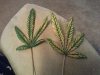 20121105_161023.jpg