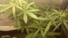 2012-11-06_10-23-35_887.jpg 2012-11-06_10-23-35_887.jpg