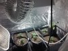 20121106_010950.jpg
