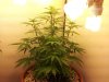 20121103_094327.jpg 20121103_094327.jpg