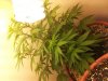 20121103_093846.jpg
