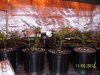 10 days of 1212 005.jpg