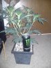 20121107_172955.jpg
