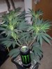 20121107_172936.jpg