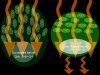 Chloroplast repositioning.jpg