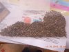 DSCN3801.jpg