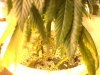 DSC01629.jpg