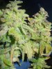 DSCN3812.jpg
