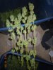 DSCN3815.jpg
