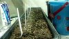 2012-11-12_12-47-33_136.jpg 2012-11-12_12-47-33_136.jpg