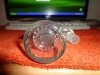 DSC00113.jpg