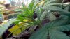 2012-11-10_14-25-18_616.jpg