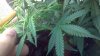 2012-11-13_22-25-44_411.jpg