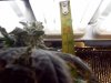 100_3820.jpg