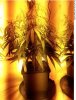 10:19:2012 (3)_safe.jpg
