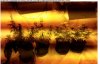 11:09:2012 (co2 generator replaced!).jpg