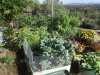 DSCF4077.jpg
