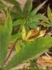 Image11162012021842.jpg