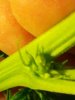 2012-11-16_12-32-13_791.jpg