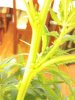 2012-11-16_12-34-43_919.jpg