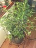 2012-11-16_14-15-02_635.jpg