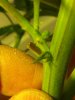 2012-11-16_14-11-53_156.jpg