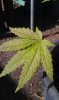 IMAG0647.jpg