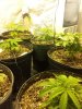 20121117_151503_cleaned.jpg 20121117_151503_cleaned.jpg