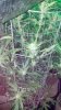 2012-11-23_12-11-03_664.jpg