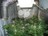 DSC01251.jpg