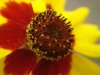 DSC02352.jpg
