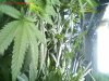 pic092008_6.jpg