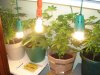 DSC04798.JPG