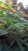 2012-11-30_09-06-36_882.jpg