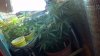 2012-11-30_09-08-48_686.jpg