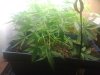 201004032960.jpg 201004032960.jpg
