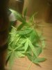 201004032962.jpg 201004032962.jpg
