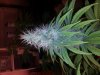 20121130_185548.jpg