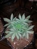 20121130_200114.jpg 20121130_200114.jpg